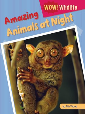 cover image of Amazing Animals at Night